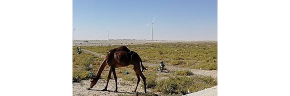a turbine in a semi-desert landscape
